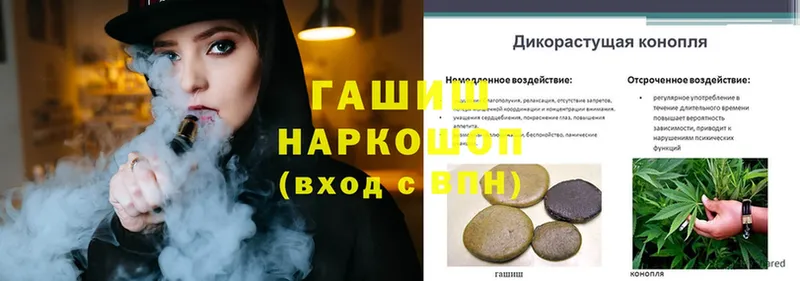 ГАШИШ Ice-O-Lator Юрга