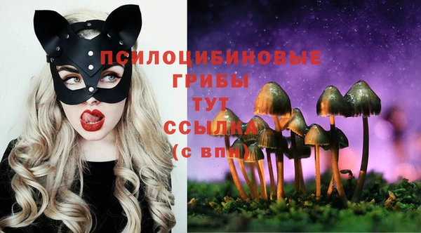 стафф Нягань