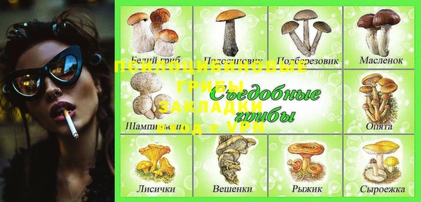 стафф Нягань