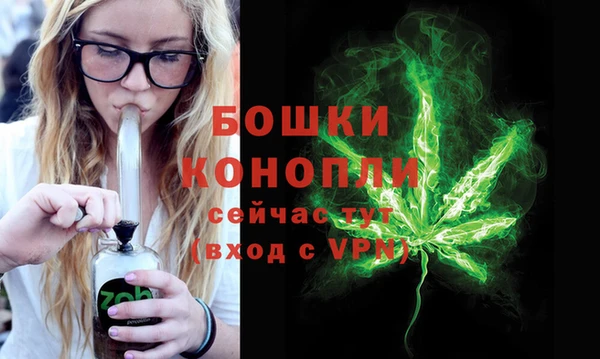 крисы Бикин