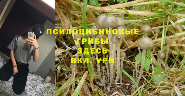 не бодяженный Няндома