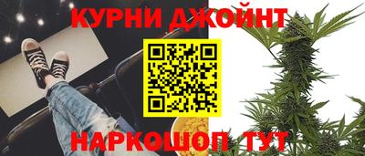 гидра Гай