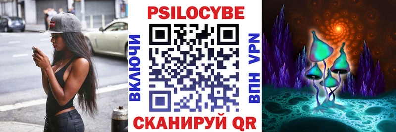 Галлюциногенные грибы Psilocybe Юрга