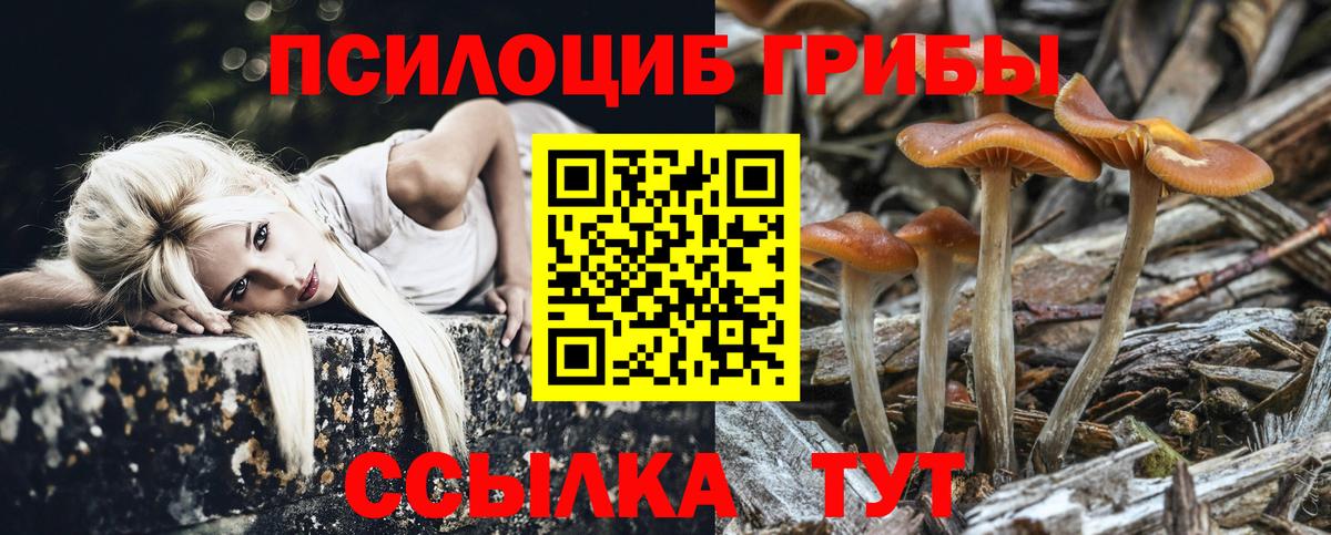 Юрга  Псилоцибиновые грибы ЛСД  Вход с VPN 